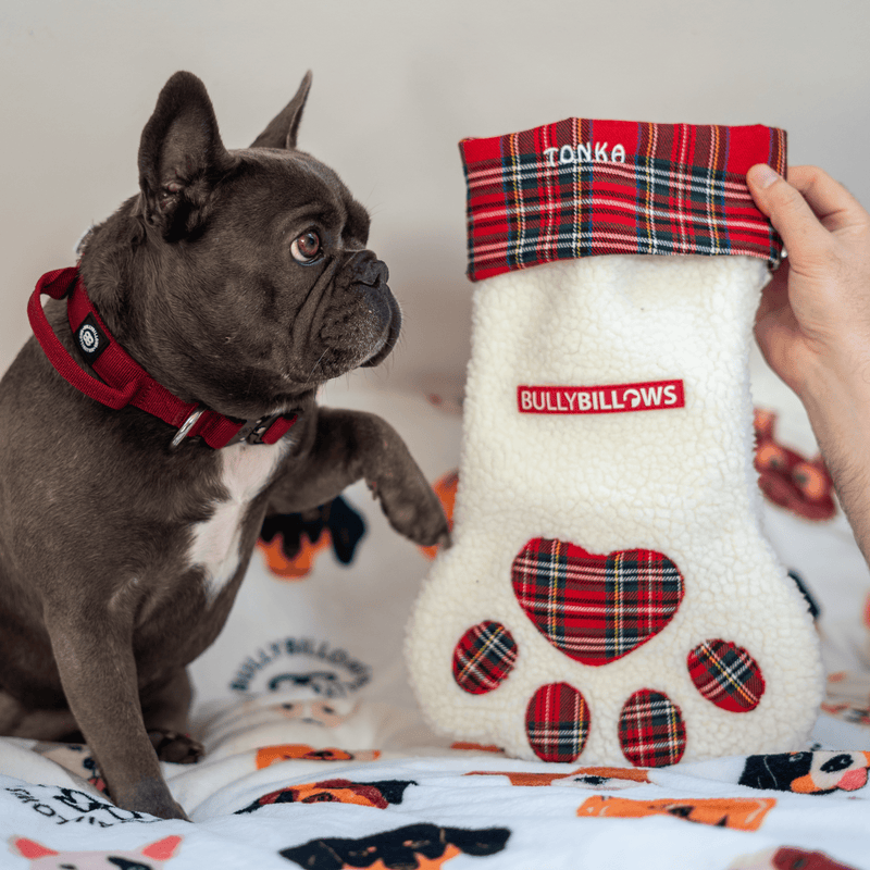 Dog Paw Christmas Stocking