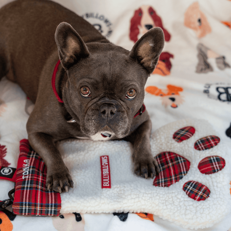 Dog Paw Christmas Stocking