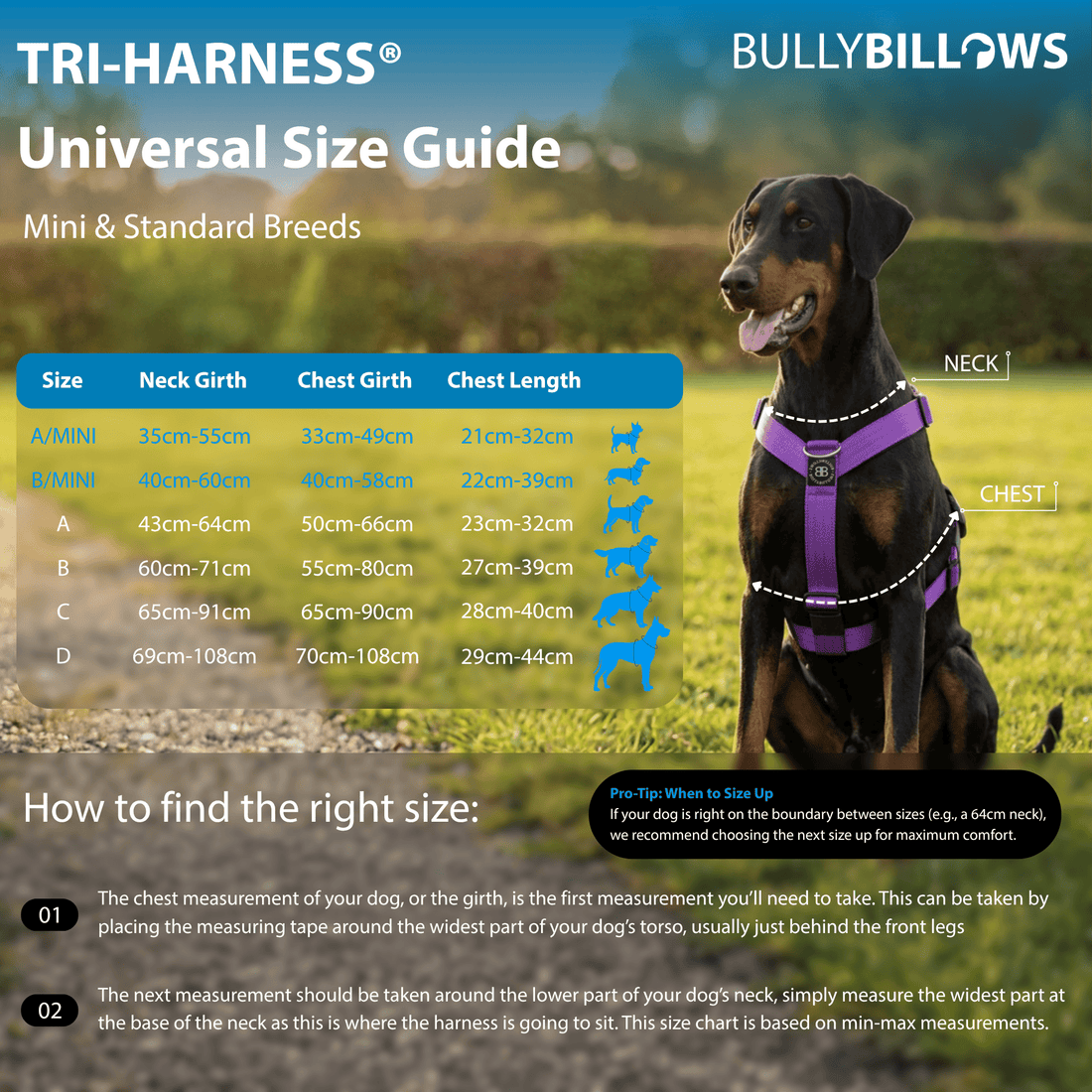 featured image of Anti-Pull TRI-Harness® | Training Dog Harness for All Breeds - Turquoise