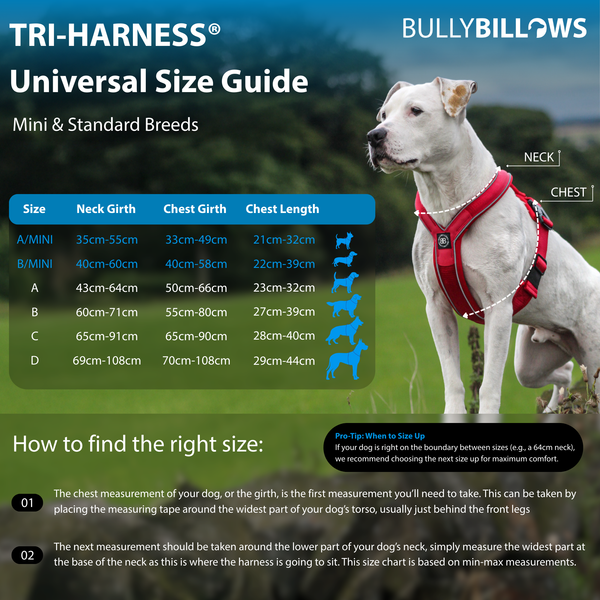 Anti-Pull TRI-Harness® | Training Dog Harness for All Breeds - Black