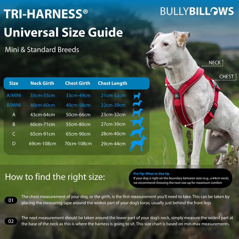 Anti-Pull TRI-Harness® | Training Dog Harness for All Breeds - Black