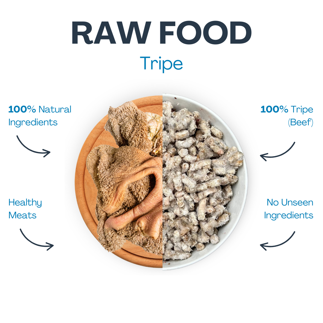 featured image of Raw Tripe