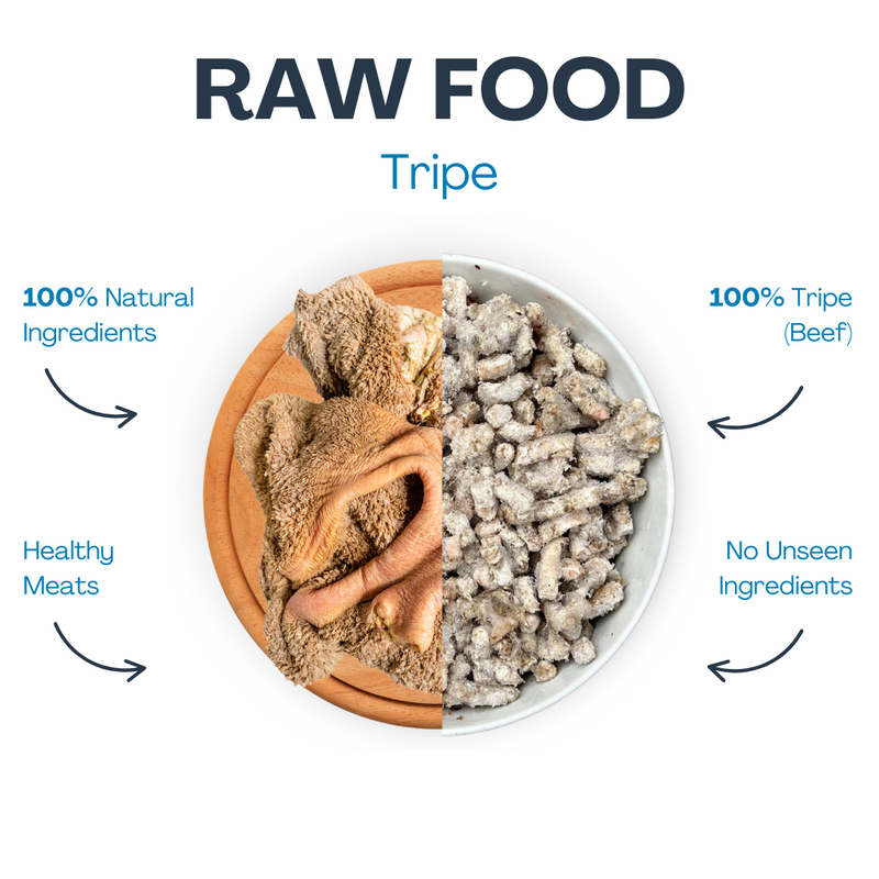 Raw Tripe