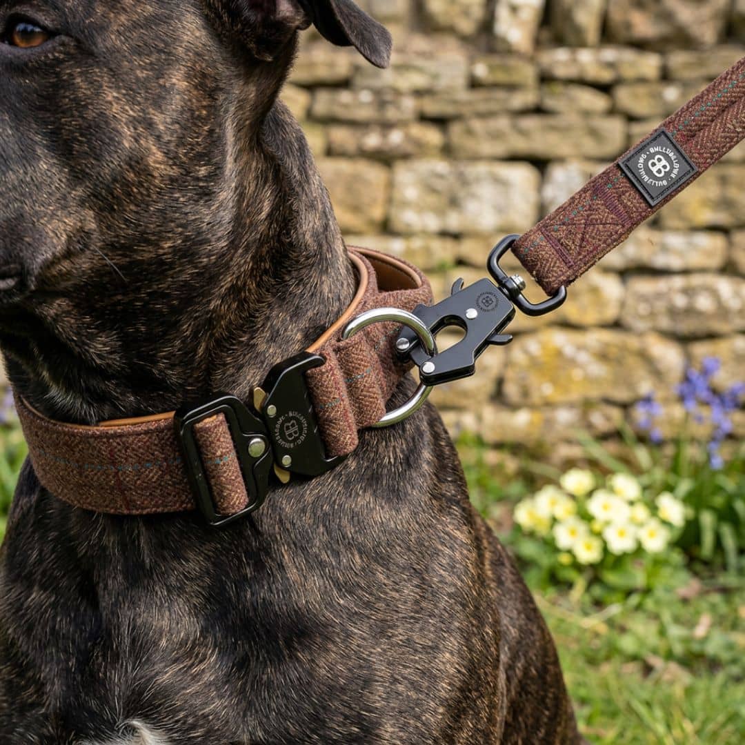 featured image of 5cm Tweed & Herringbone Combat® Collar | With Handle & Secure Clip