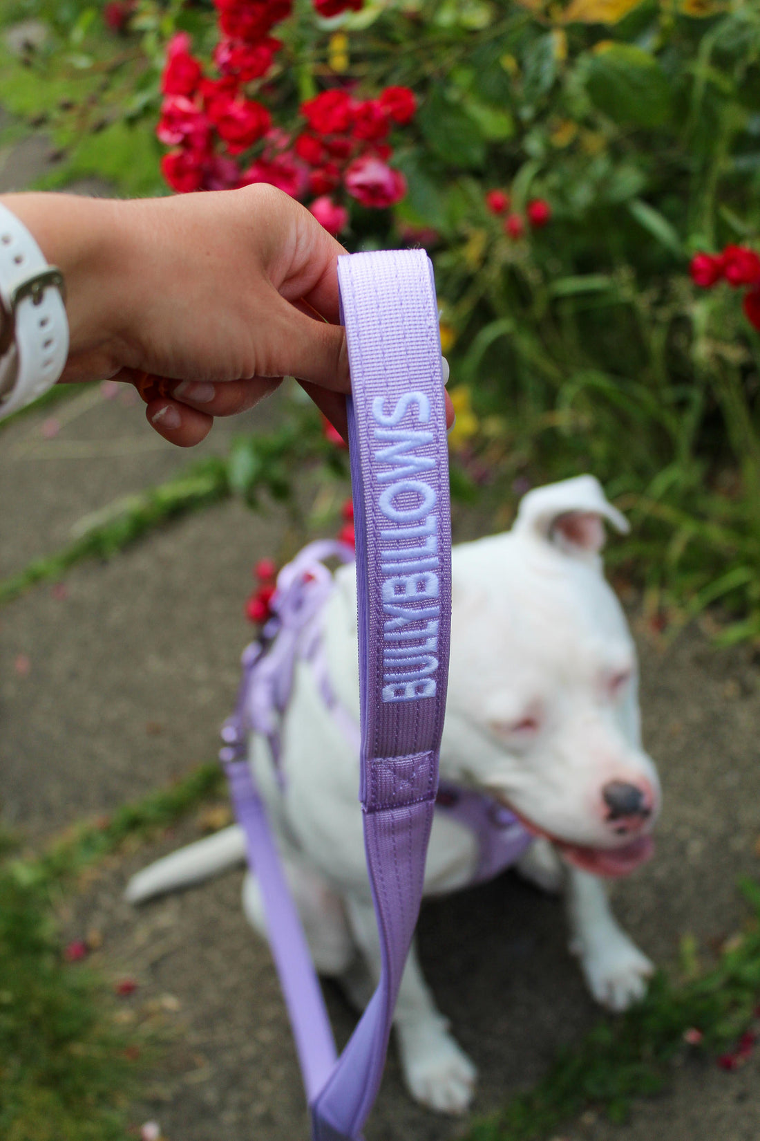 featured image of 1.4m Lighter Swivel Combat Lead | Anti-Tangle & Secure Clip - Lavender X Ube