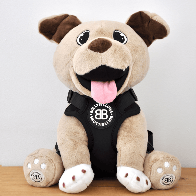 XL Bully Teddy Bear Harness | Black
