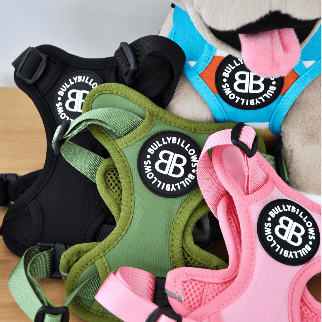 featured image of XL Bully Teddy Bear Harness | Black