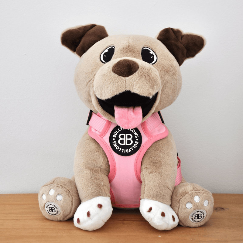 XL Bully Teddy Bear Harness | Pink