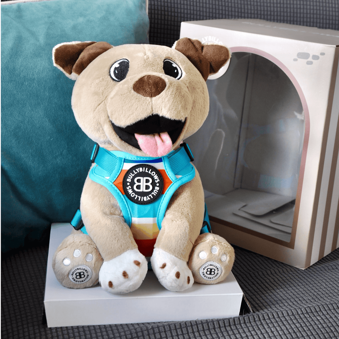 featured image of XL Bully Plush Teddy - With Box
