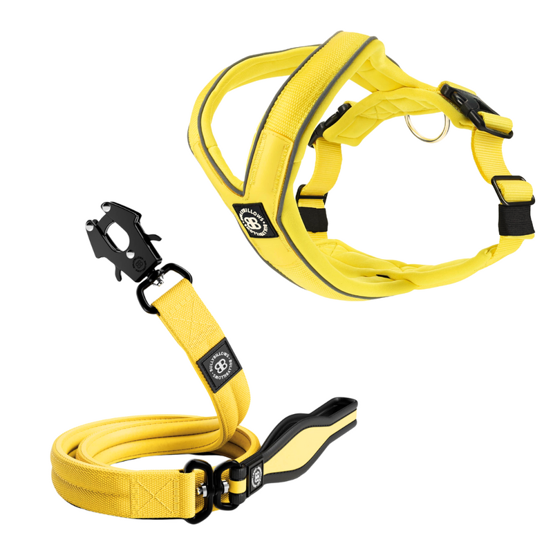 Slip-on Harness & Mini Combat Lead Bundle  - Yellow