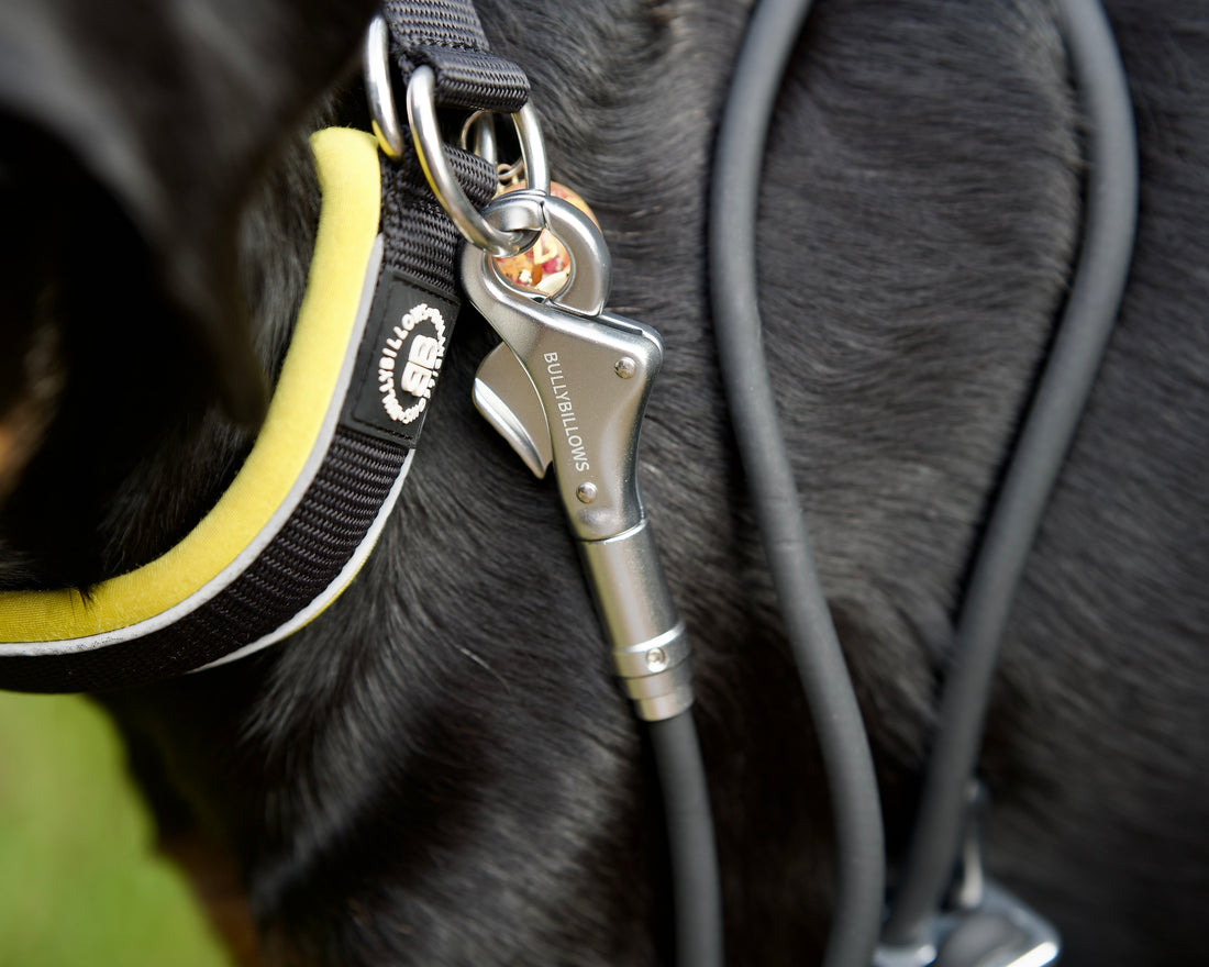featured image of Cord Lead 2.2meters - Black