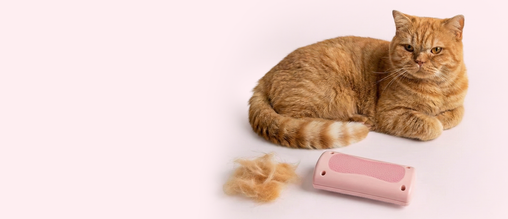 Cat laying next to a pile of its fur