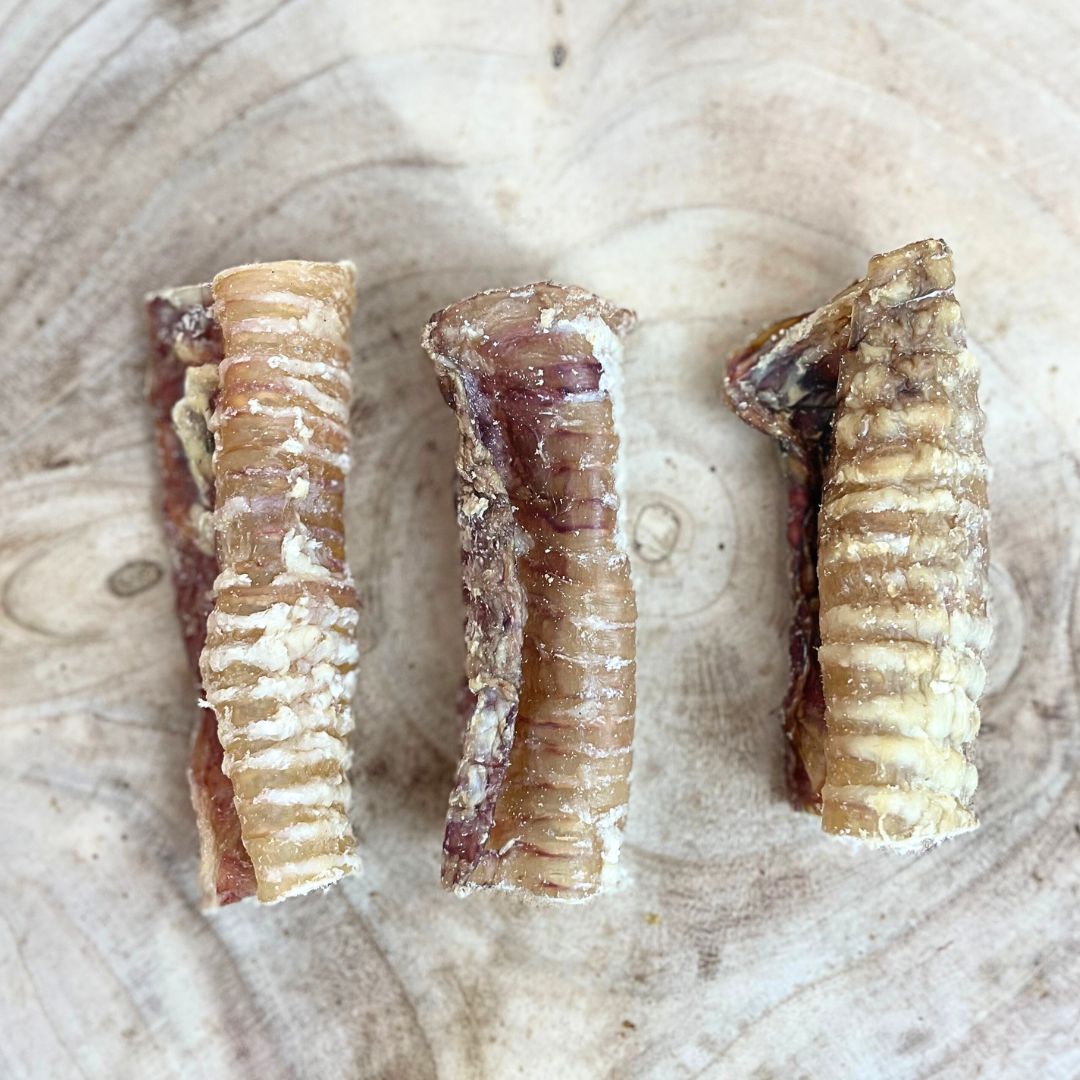 featured image of Beef Trachea