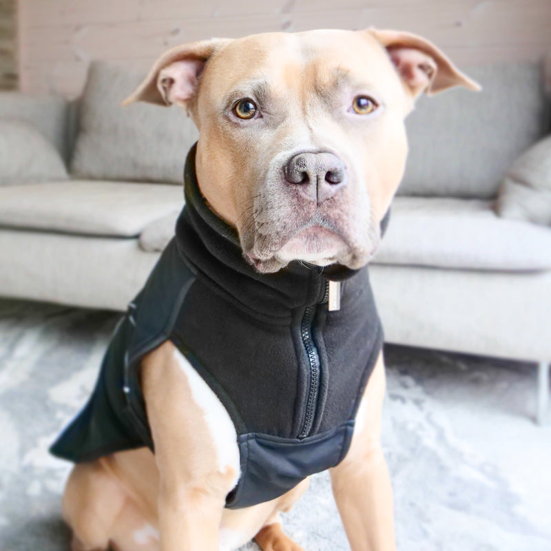 Dog Coat With Zip - Shower Proof - Black