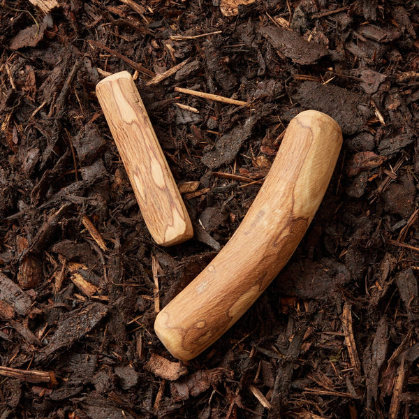 Olive Branches - 3 sizes