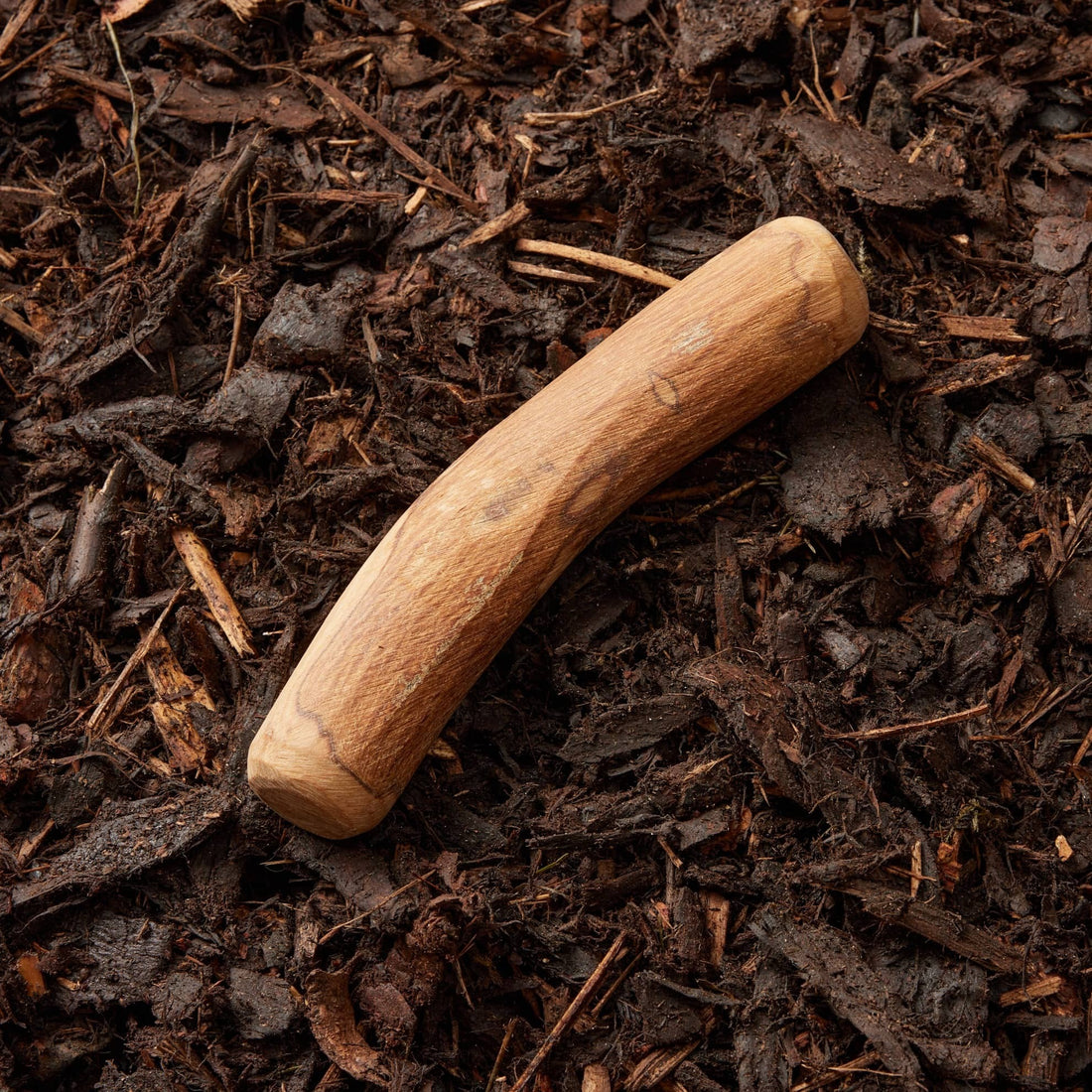 featured image of Olive Branches - 3 sizes