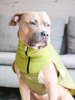 Dog Coat With Zip - Shower Proof - Olive Green