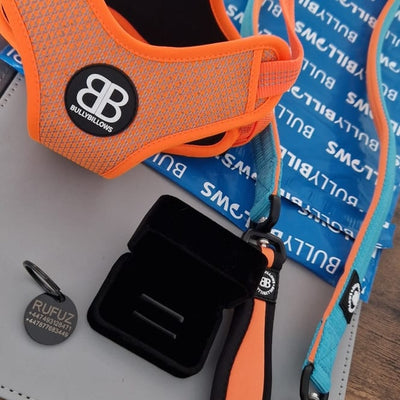 BullyBillows 5 cm Combat Collar in orange with padded strap, metal clip, and engraved ID Tag resting on BullyBillows‑branded packaging.