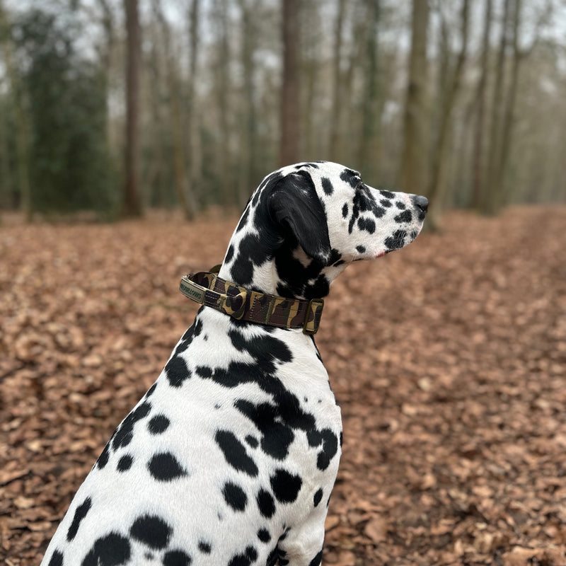 4cm Lighter Combat® Collar | Green Camouflage