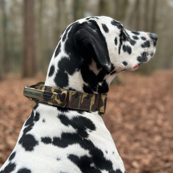 2.5cm Lighter Combat® Collar | Pink Camouflage