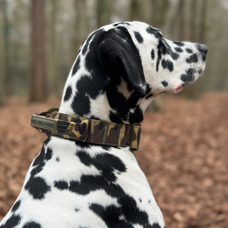 4cm Lighter Combat® Collar | Green Camouflage