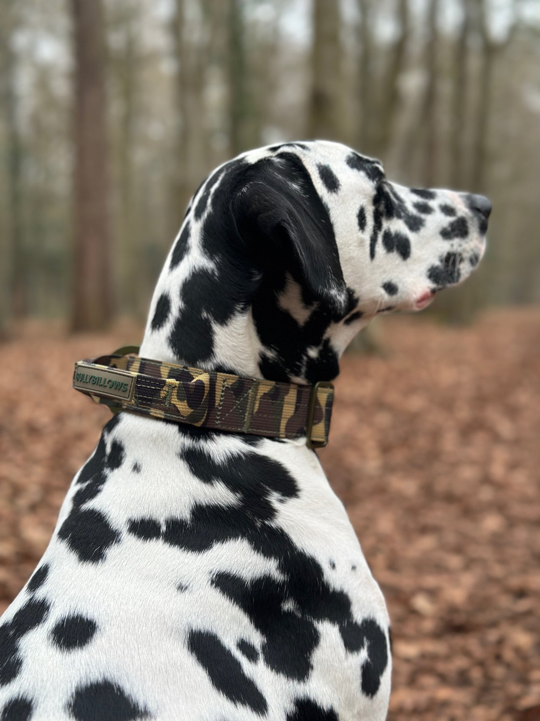 featured image of 4cm Lighter Combat® Collar | With Handle & Secure Clip - Green Camouflage