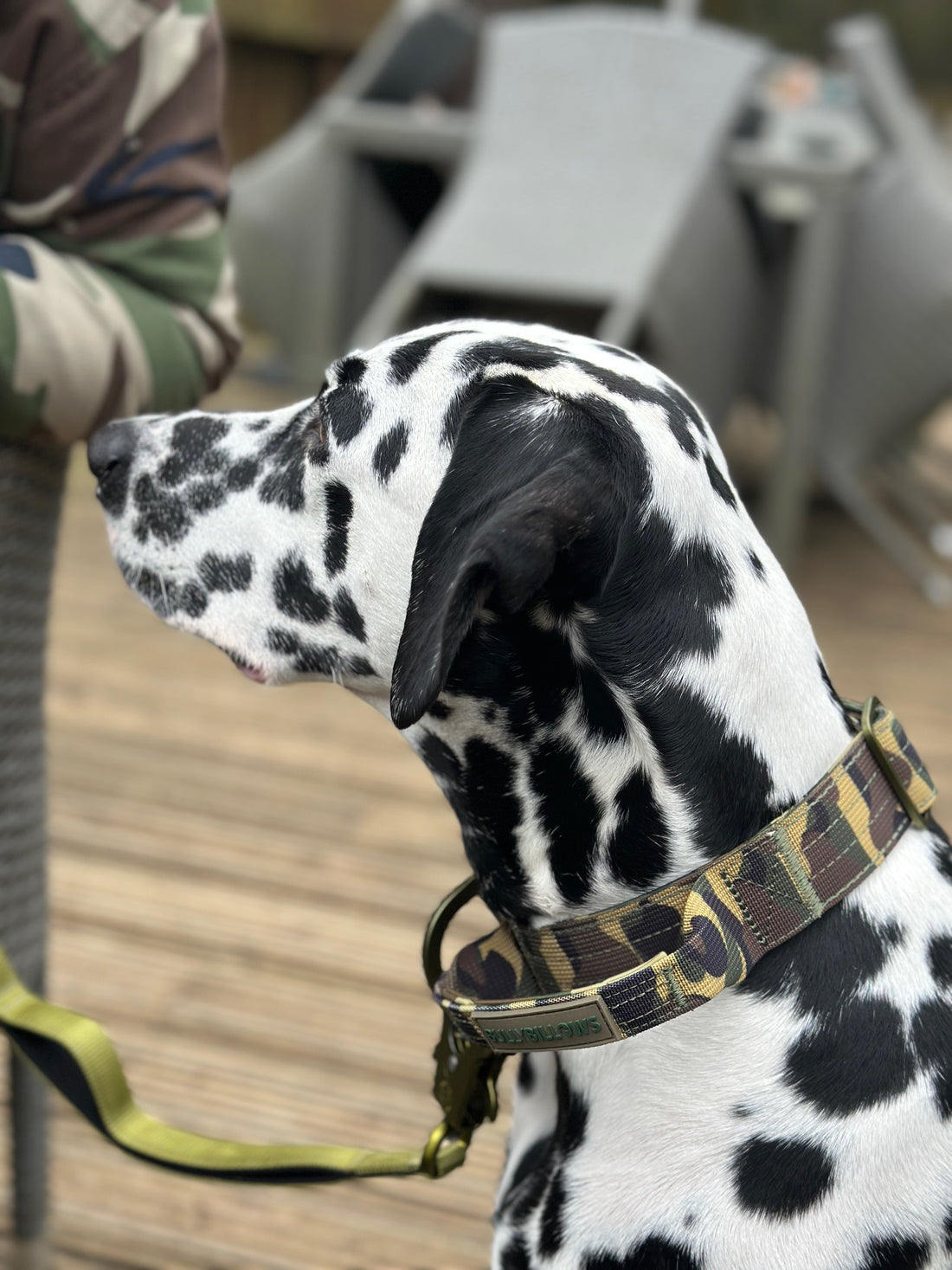 featured image of 4cm Lighter Combat® Collar | With Handle & Secure Clip - Green Camouflage