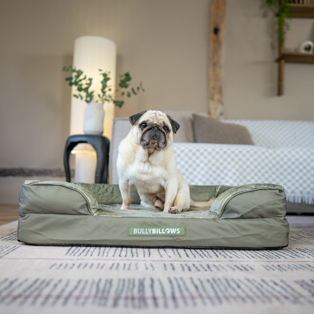 featured image of Dog Bed Cover | Sage