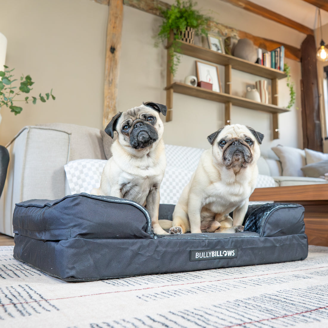 featured image of Dog Bed Cover | Black