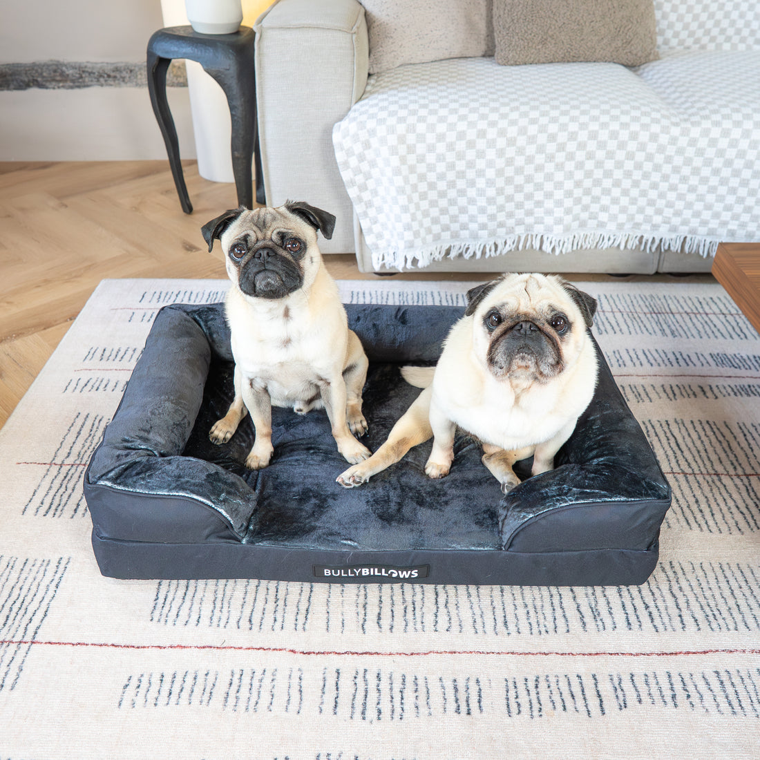 featured image of Dog Bed Cover | Black