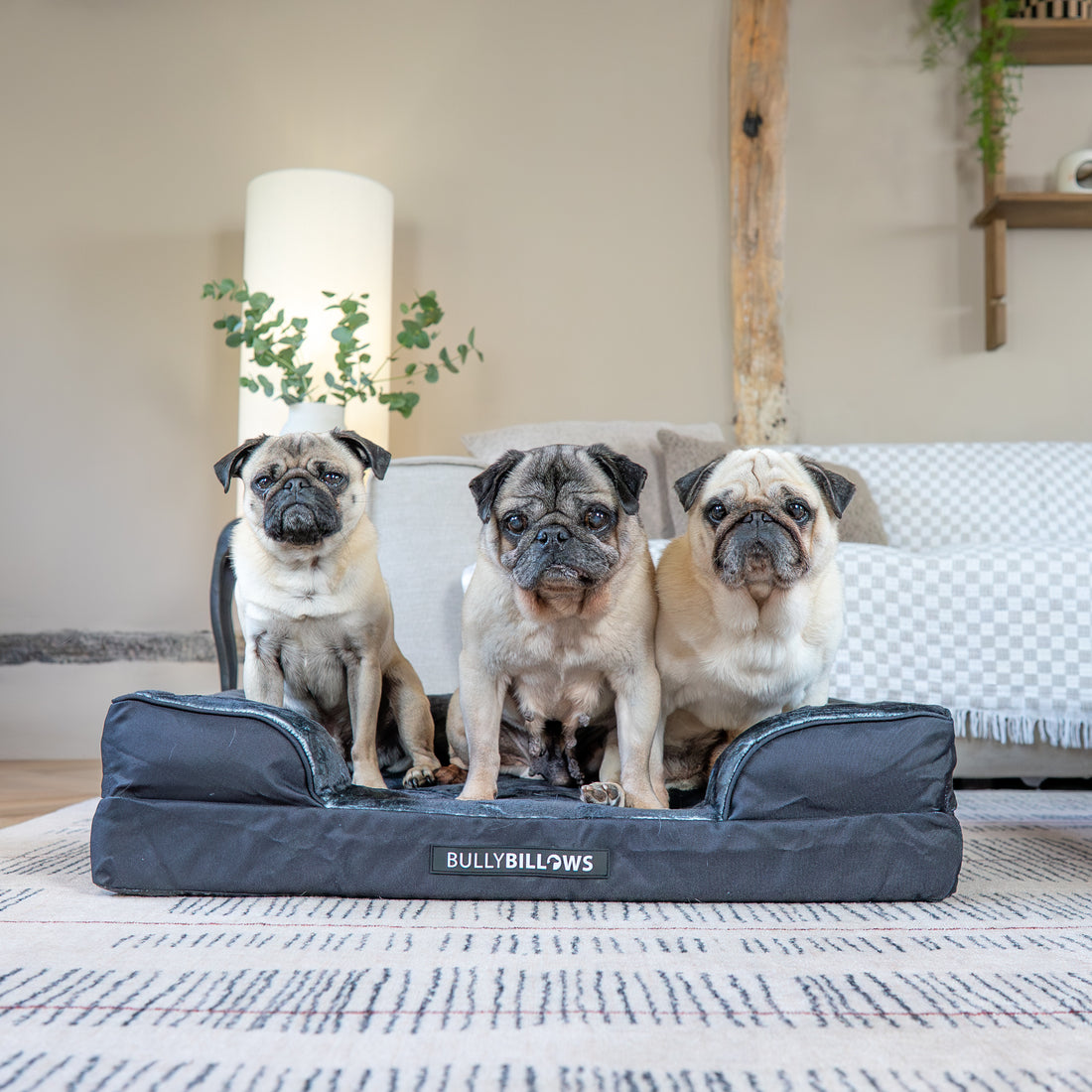 featured image of Dog Bed Cover | Black