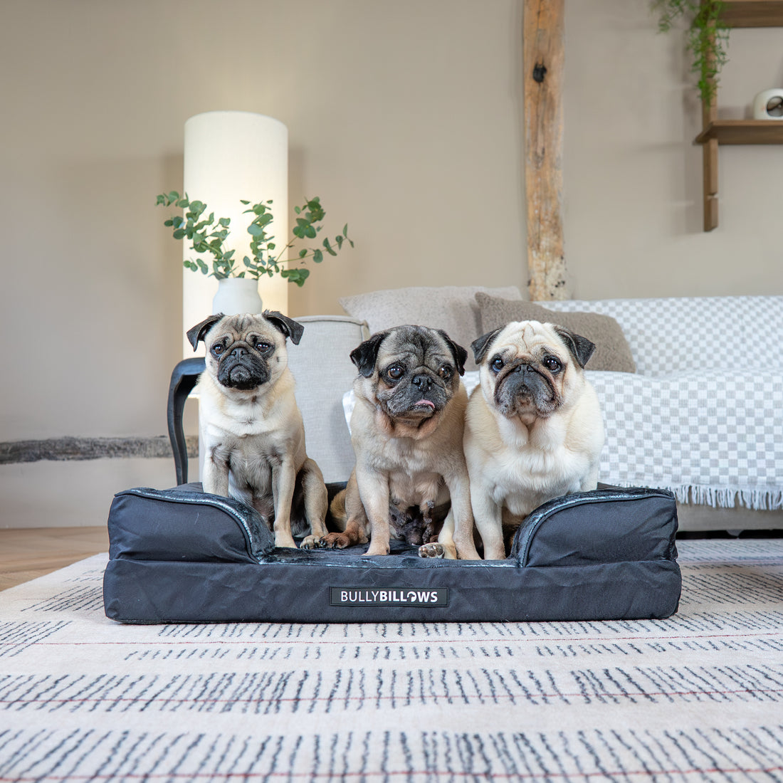 featured image of Dog Bed Cover | Black