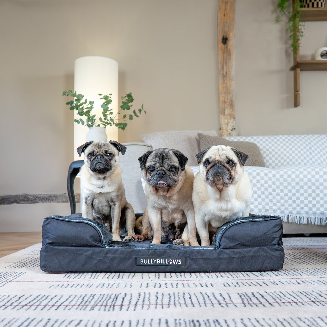 featured image of Dog Bed Cover | Black