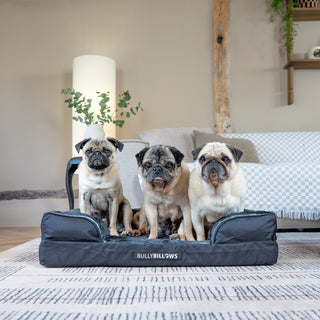 Promotional image for Luxury Beds