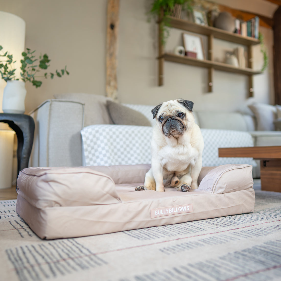 featured image of Dog Bed Cover | Beige