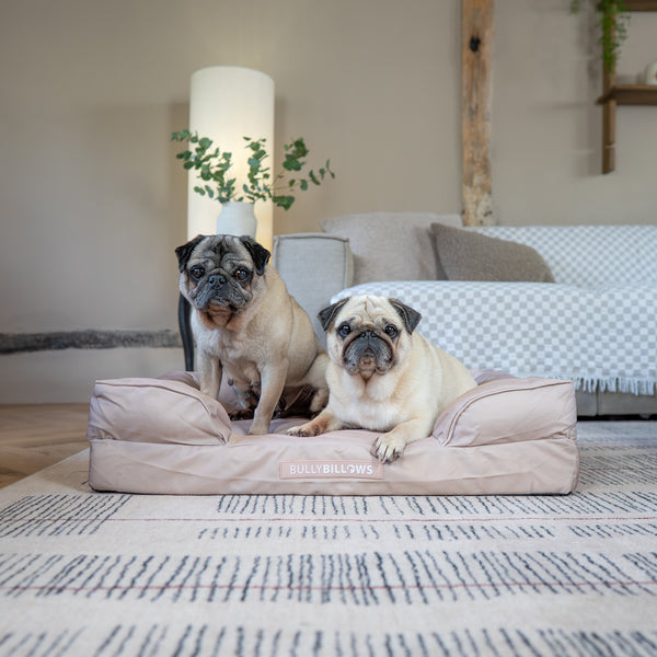 Dog Bed Cover | Beige