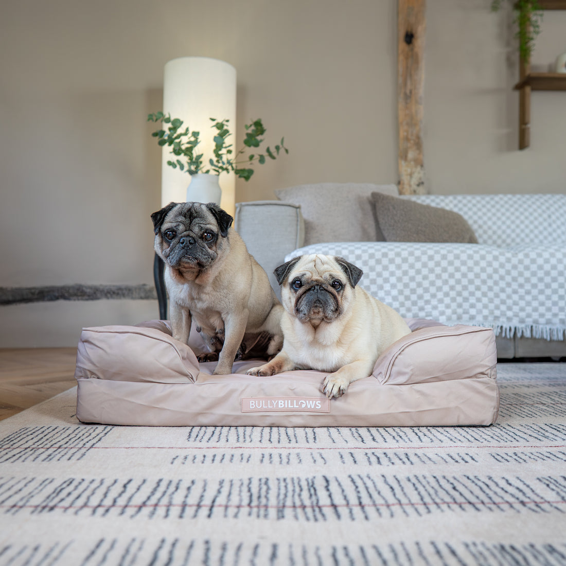 featured image of Dog Bed Cover | Beige