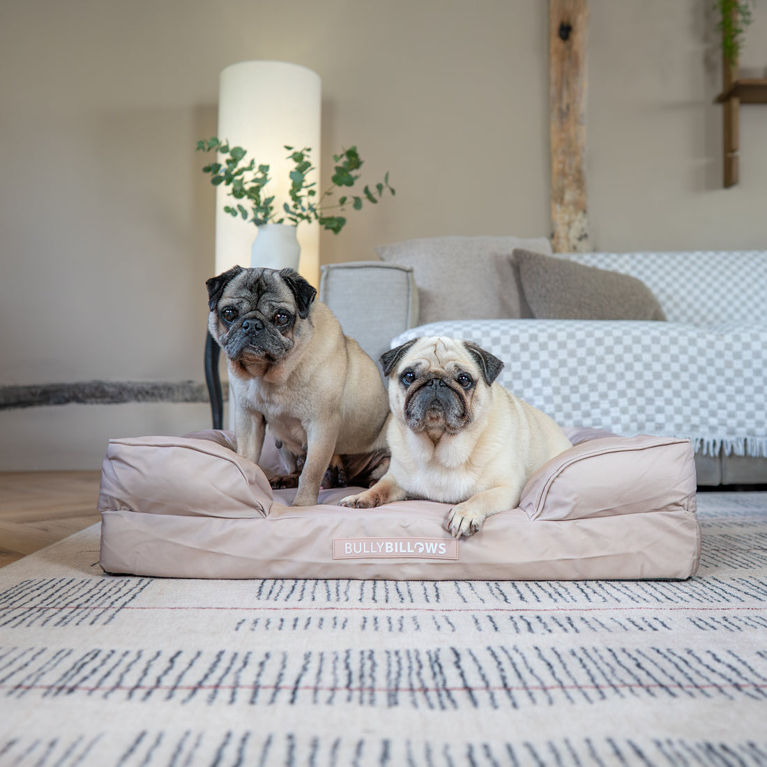 featured image of Dog Bed Cover | Beige