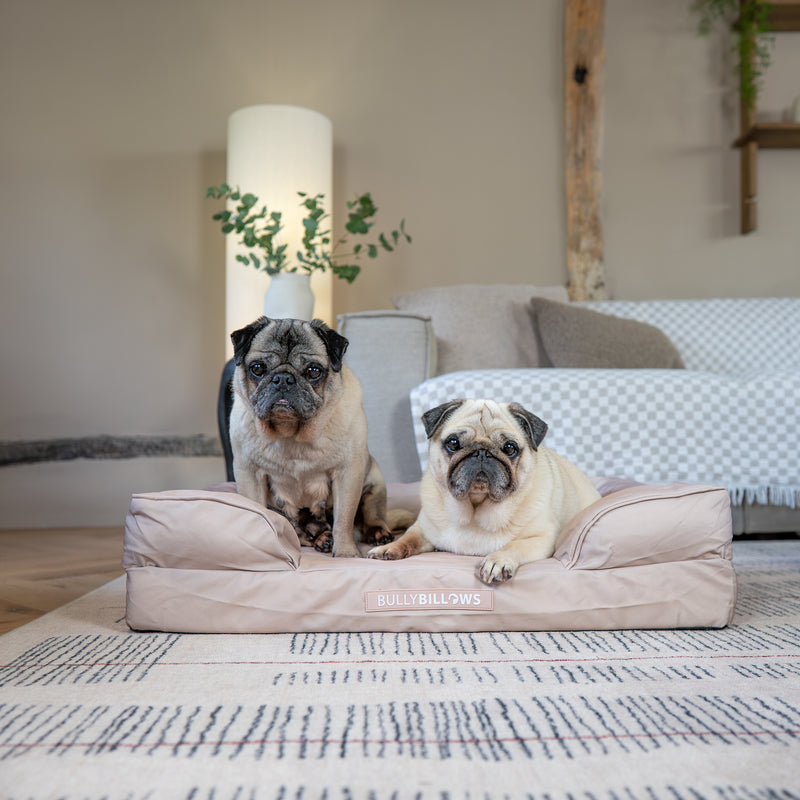 Dog Bed Cover | Beige