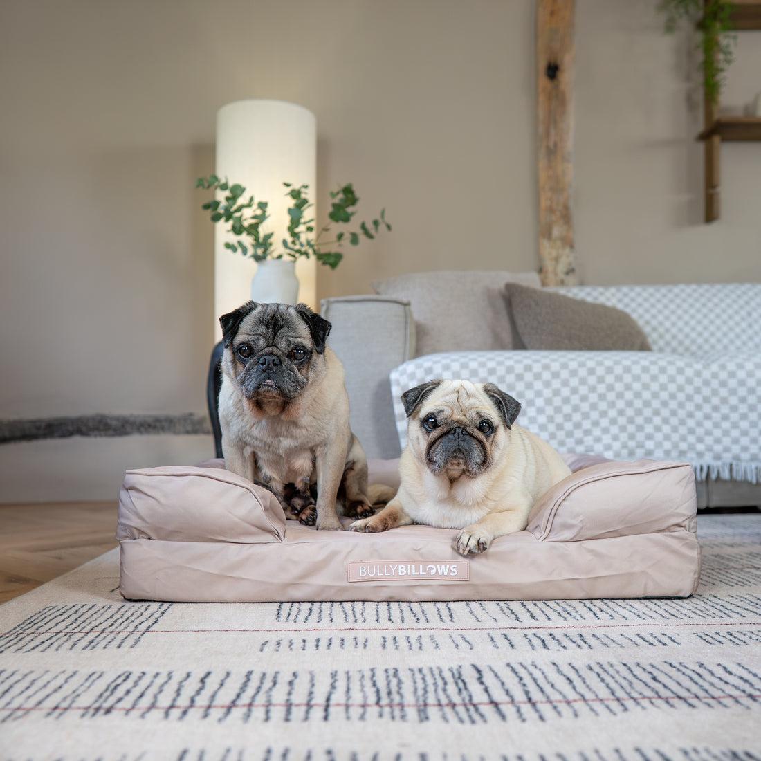 featured image of Dog Bed Cover | Beige