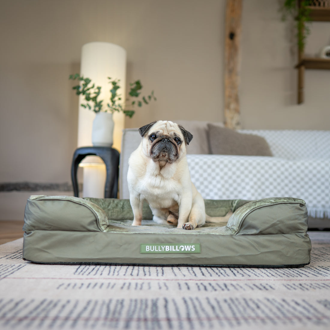 featured image of Dog Bed Cover | Sage