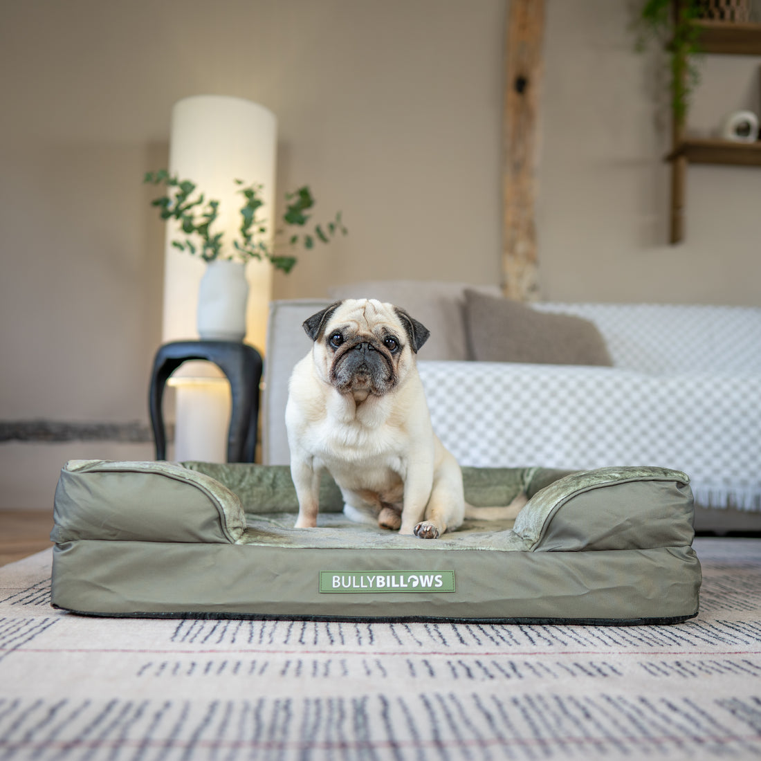 featured image of Dog Bed Cover | Sage