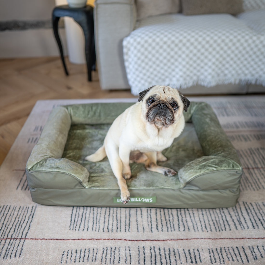 featured image of Dog Bed Cover | Sage