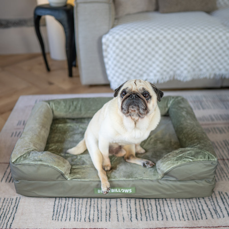 Dog Bed Cover | Sage