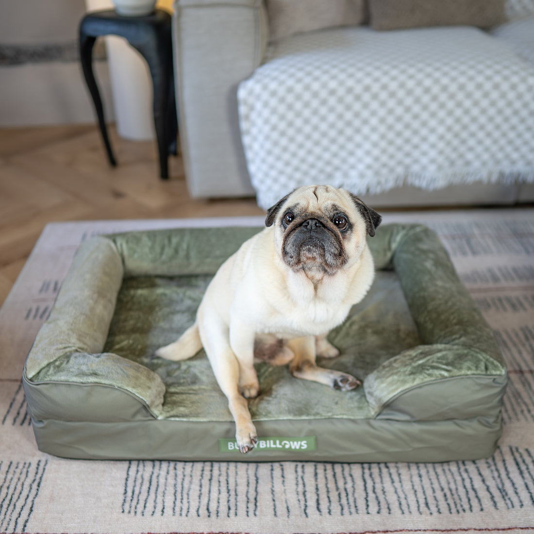 featured image of Dog Bed Cover | Sage