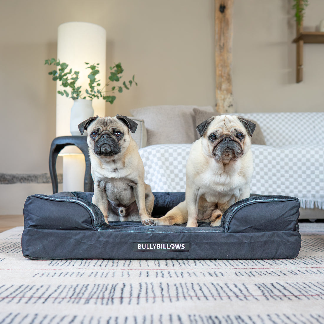 featured image of Dog Bed Cover | Black