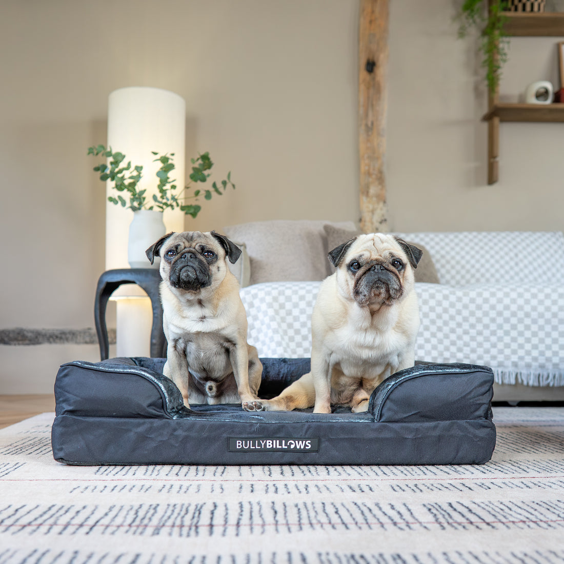 featured image of Dog Bed Cover | Black