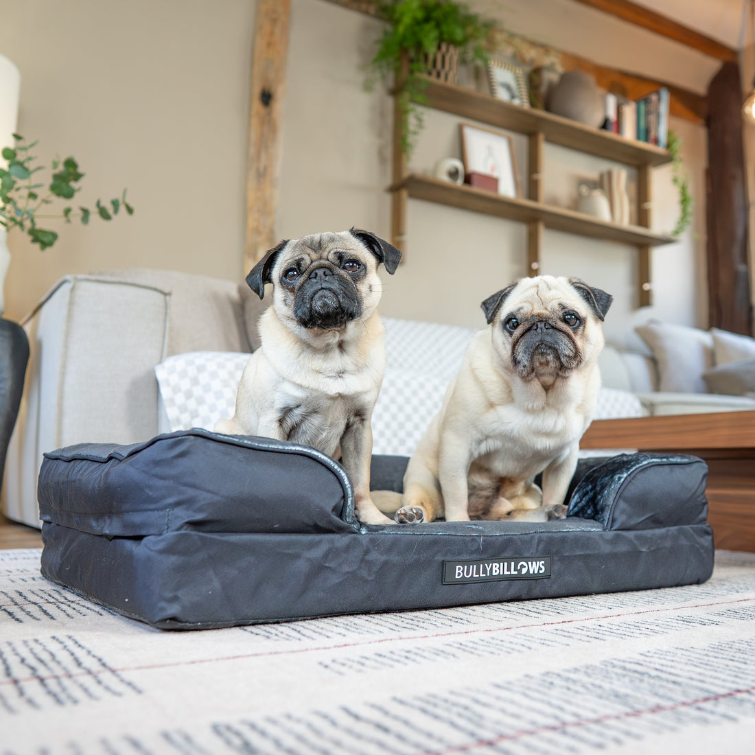featured image of Dog Bed Cover | Black