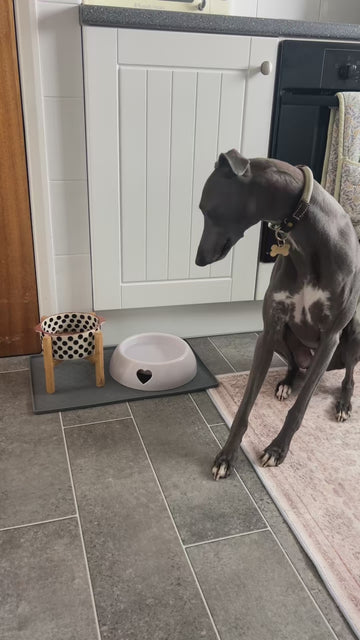 Finally Excited For Meals 🐾