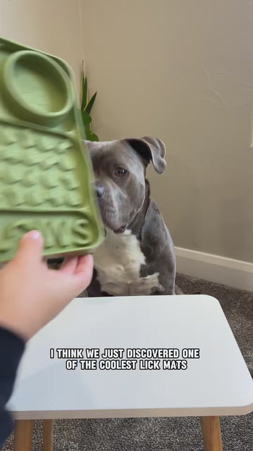 Their New Favourite Treat Routine 😋